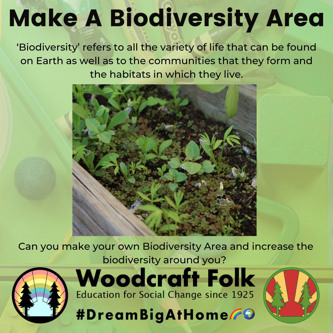 Woodcraft Folk 🌍 tweet media