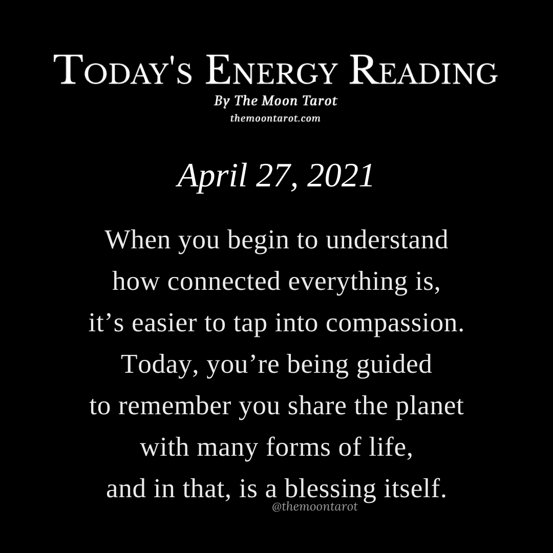 themoontarot_'s tweet photo. Today's Energy Reading: April 27th, 2021 https://t.co/YPsqFHqVGo