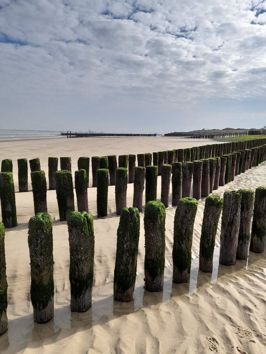 NBruele's tweet photo. Lovely walk on the beach today. https://t.co/LMvJb5Bh8W