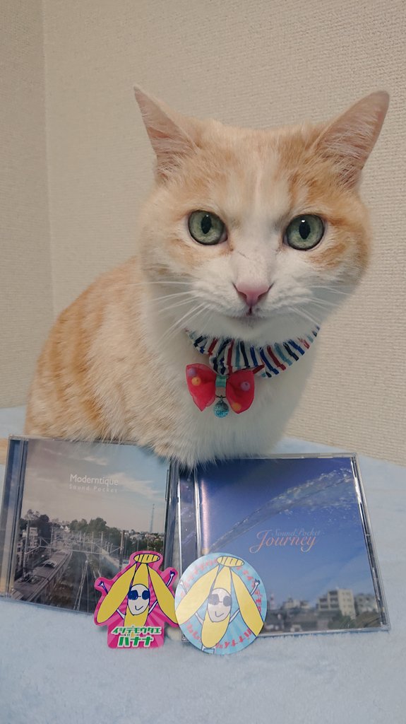 kumikumihirotai's tweet photo. 仕事から帰ってきたらでぐちさんからCD届いてたー😊しかもバナナステッカー付きなんて嬉し過ぎ😆🌟今日から聴きまくります!2枚目のコレは…間違い探しですか!?笑
#でぐちゆうき
#SoundPocket https://t.co/85ZEPyRJBp