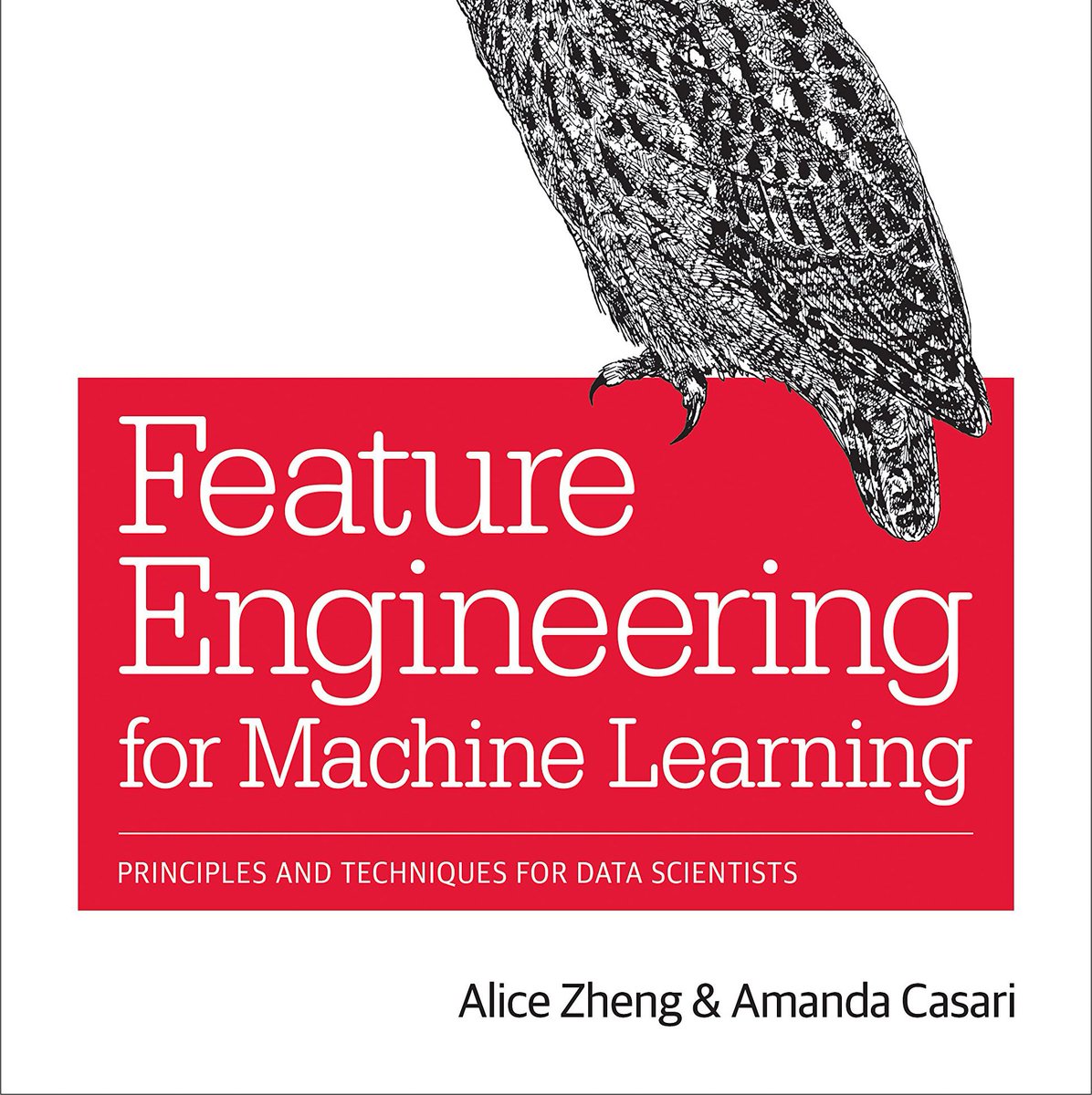 If you prefer books, check out "Feature Engineering for Machine Learning." https://amzn.to/3usjyzD It's a practical introduction to the fundamental techniques for extracting and transforming features into a suitable format for machine learning models.↓ 4/7