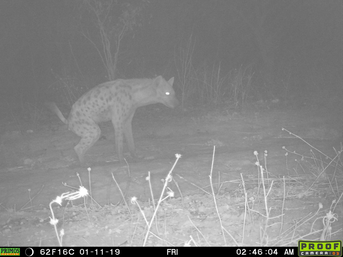 Yankari Game Reserve tweet media