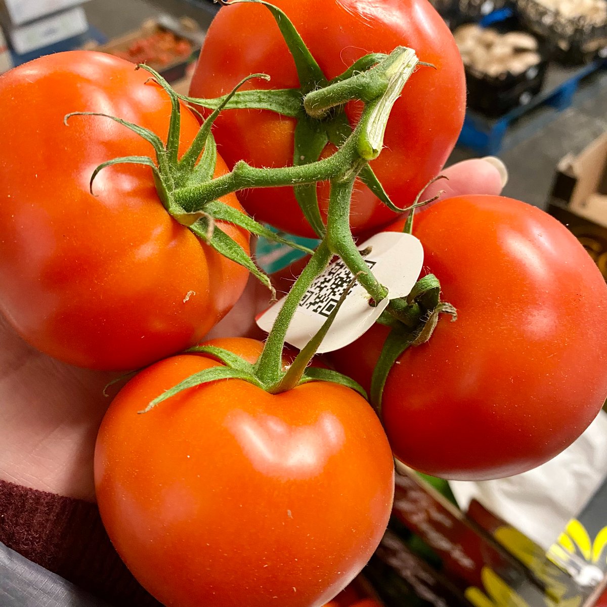Lots of different tomatoes in this week for salads galore
#greengrocer #westbridgford #notts #shoplocal