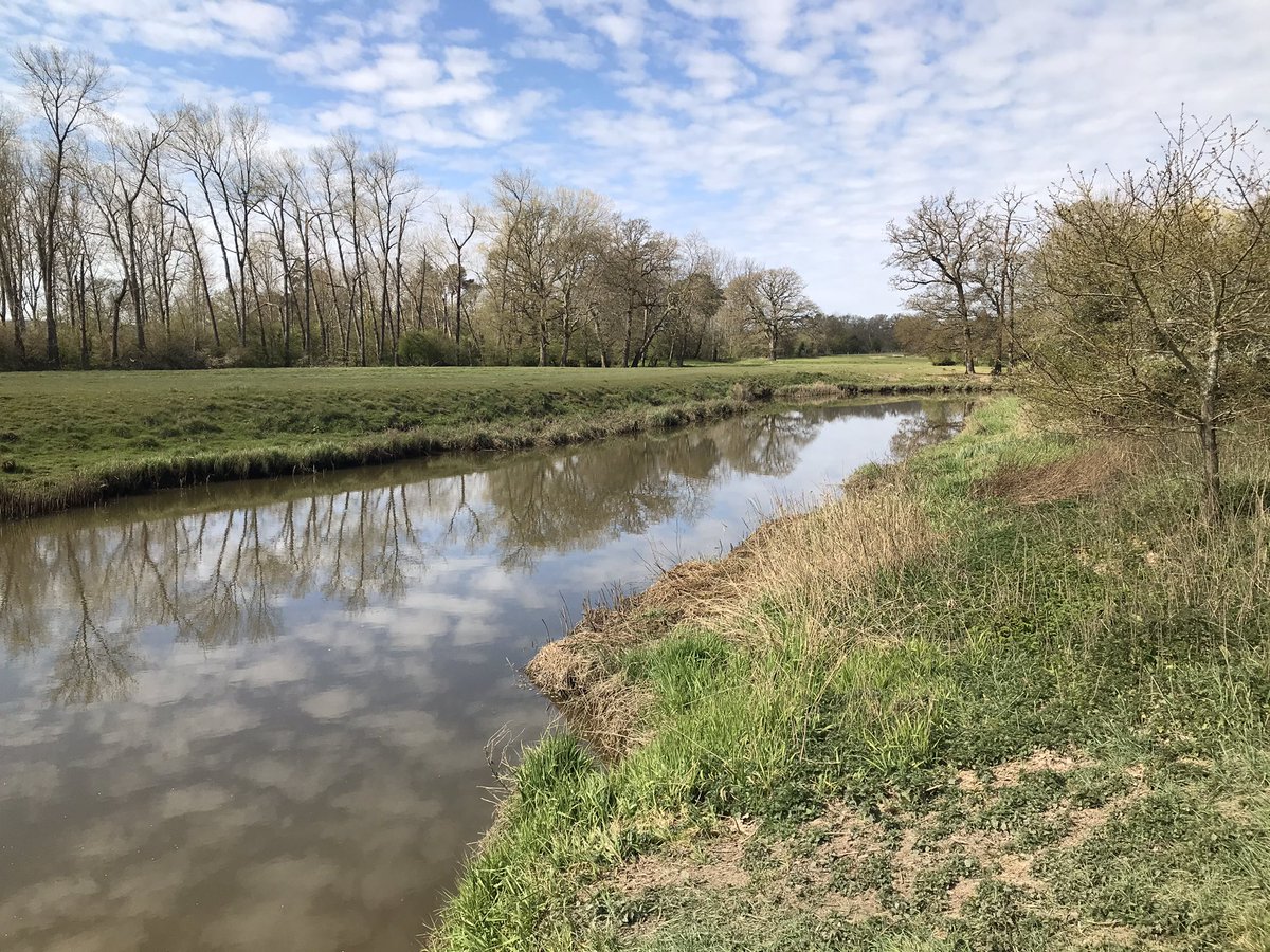 WSFRS C.O.G tweet media