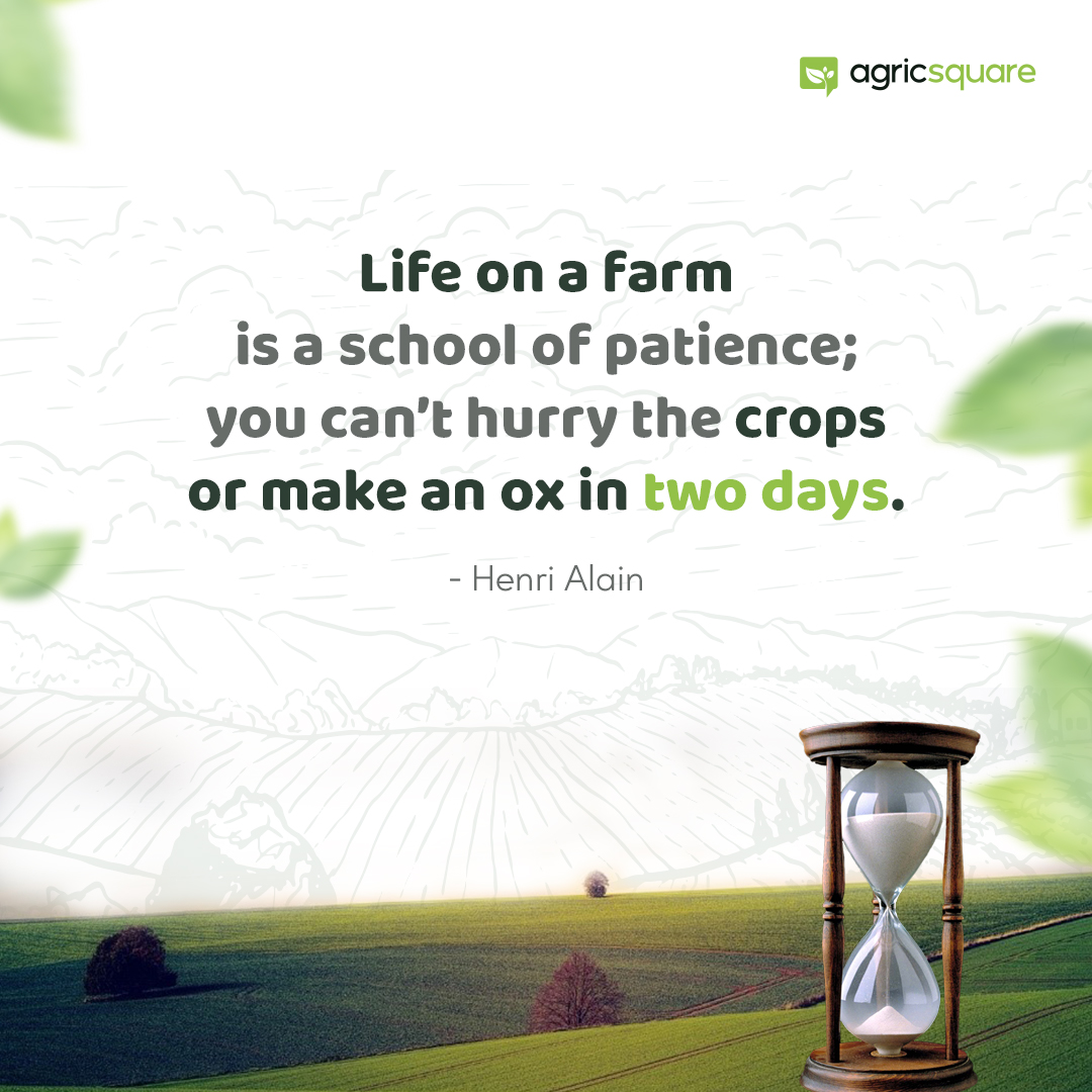 To grow and nurture, you need to be patient.🌱
That's our #TuesdayTip for you.

#agricsquare #agriculture #farming #HenriAlain