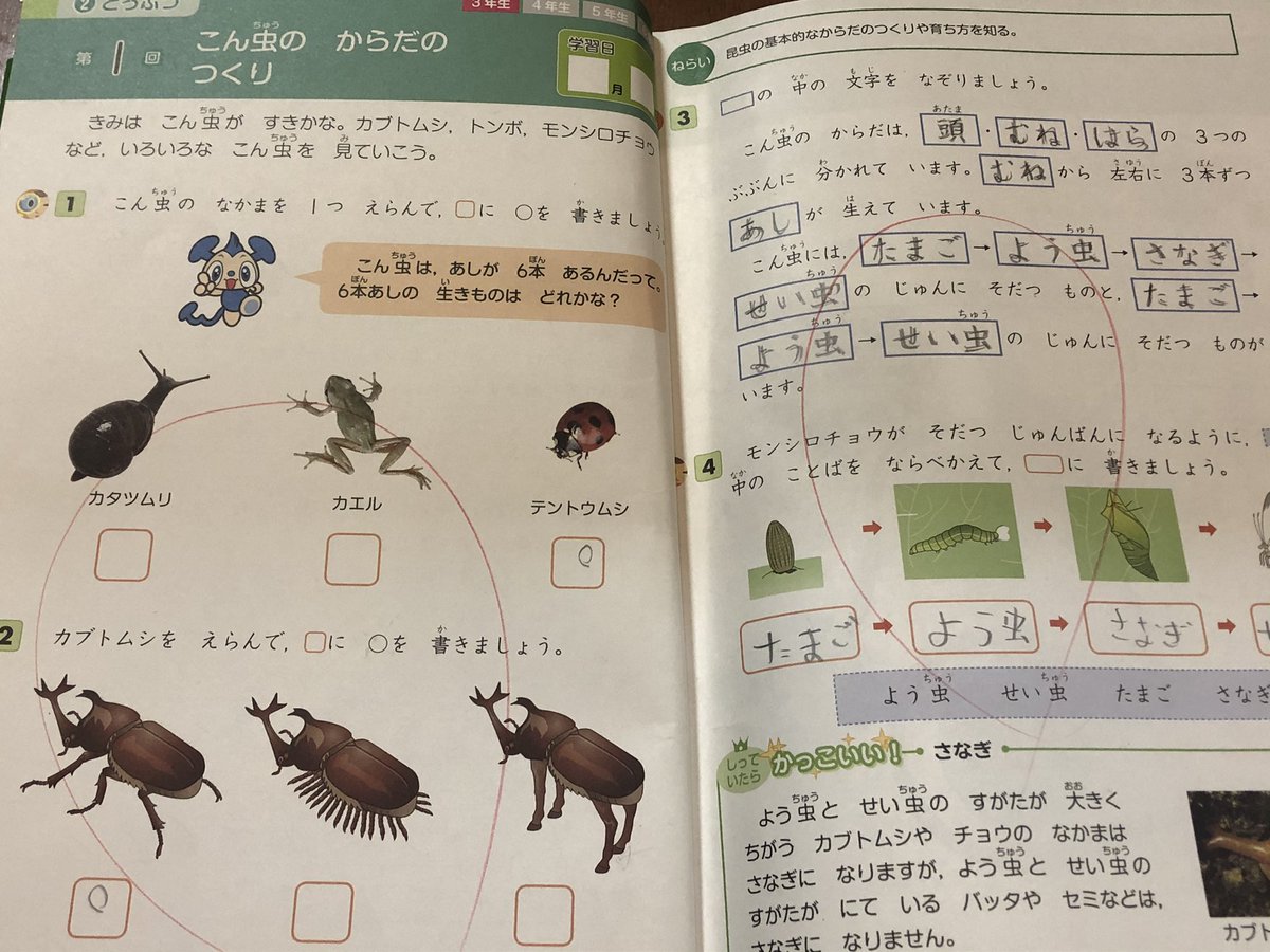 息子が勉強しながら爆笑しているので何かと思ったら耐えられない画だった Togetter 息子が勉強しながら爆笑しているので何かと思ったら耐えられない画だった Togetter