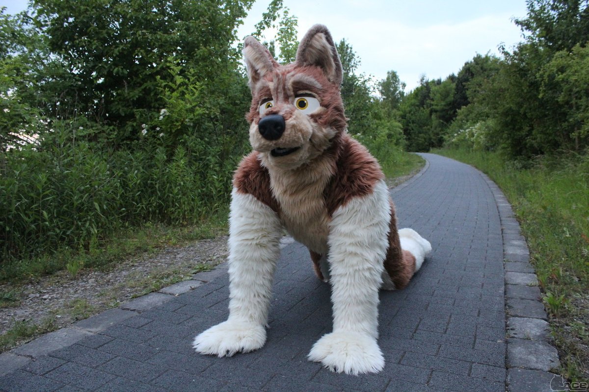 Fursuit Photo of the day