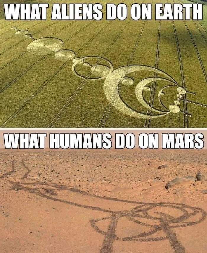 We are merely amateurs