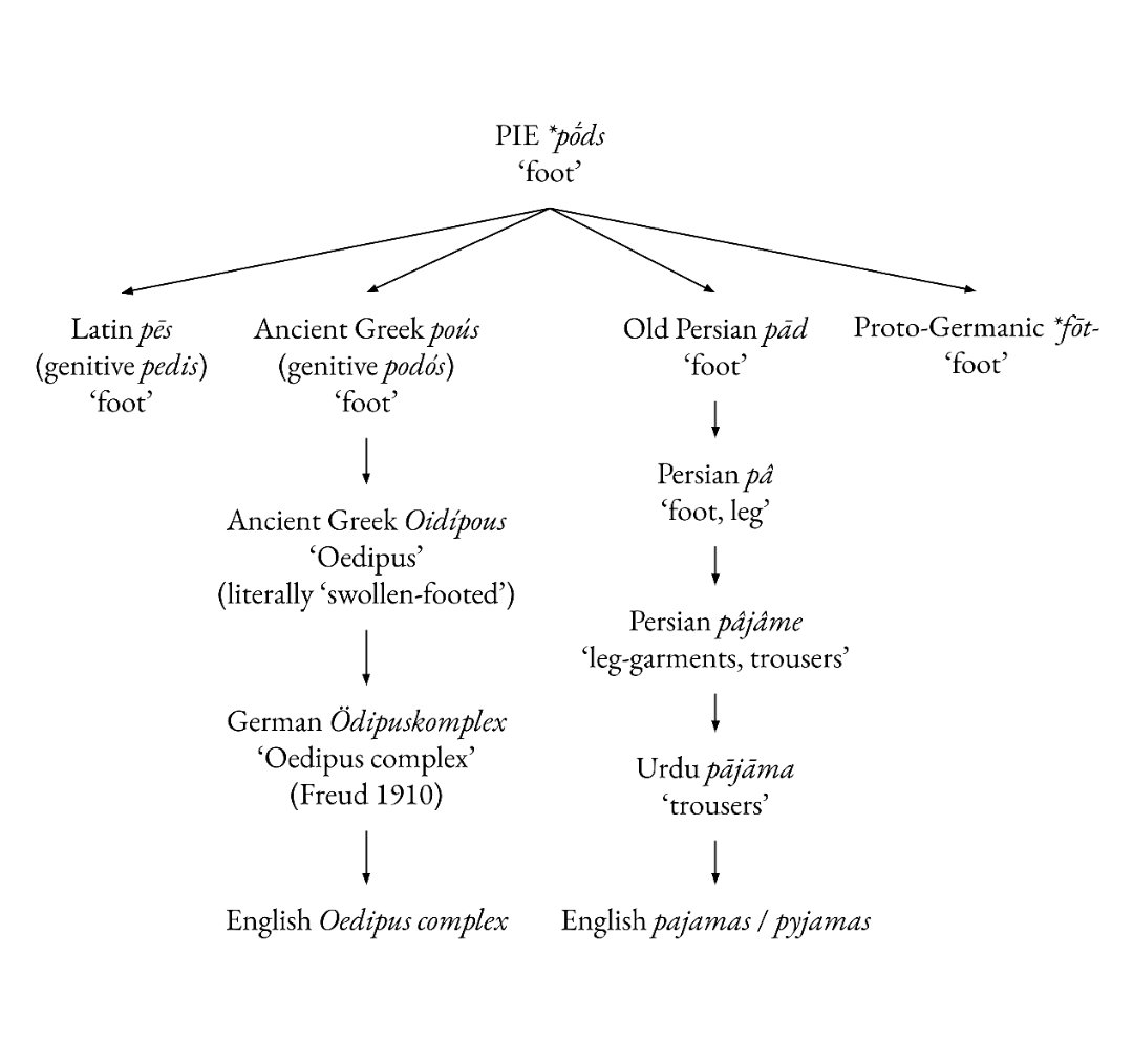 DannyBate4's tweet image. Et voilà!

A tree to show how the phrase 'Oedipus complex' is etymologically related to 'pyjamas'.