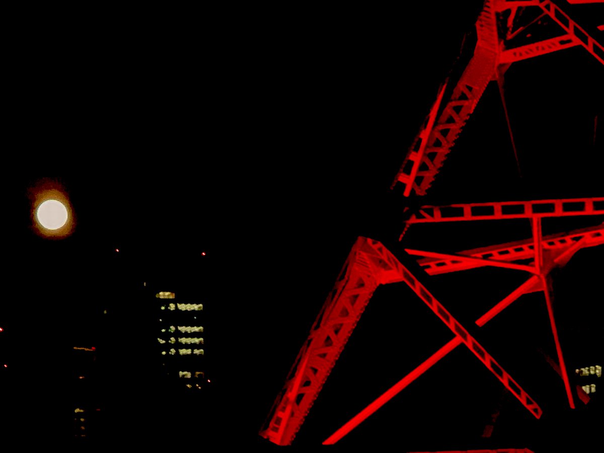 xnydna's tweet photo. 4月の満月🌕
『ピンクムーン🌕』

東京タワー🗼と寄り添って

#東京タワー 
#ピンクムーン https://t.co/muqxuTlWV4