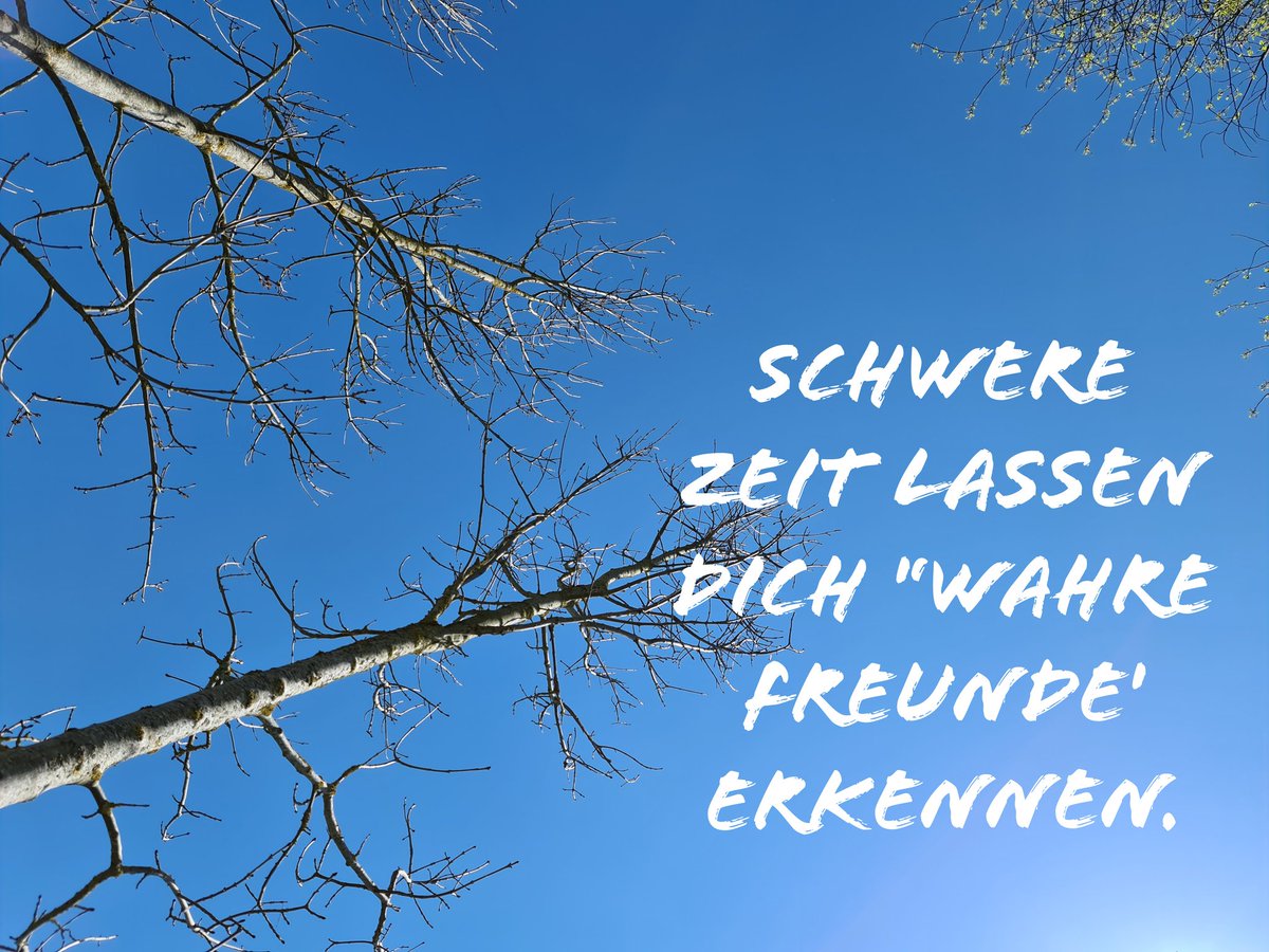 Wahre erkennen spruch freunde Freundschaftssprüche: Die