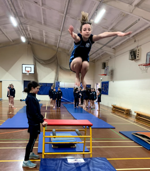 HGSport1's tweet photo. Year 7 Girls showing risk taking and resilience during there gymnastics lesson!! #Risktaking #Resilience #workhardplayfair https://t.co/aTGIloyLSQ