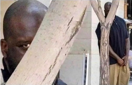 malibu_biff's tweet image. $BTT $TRX $VET $ADA $XRP $ETH $GME $AMC $NAKD $OGI $HEXO $CRON $TLRY $GDX
Me: I won´t check my portfolio for a while.

Also me: