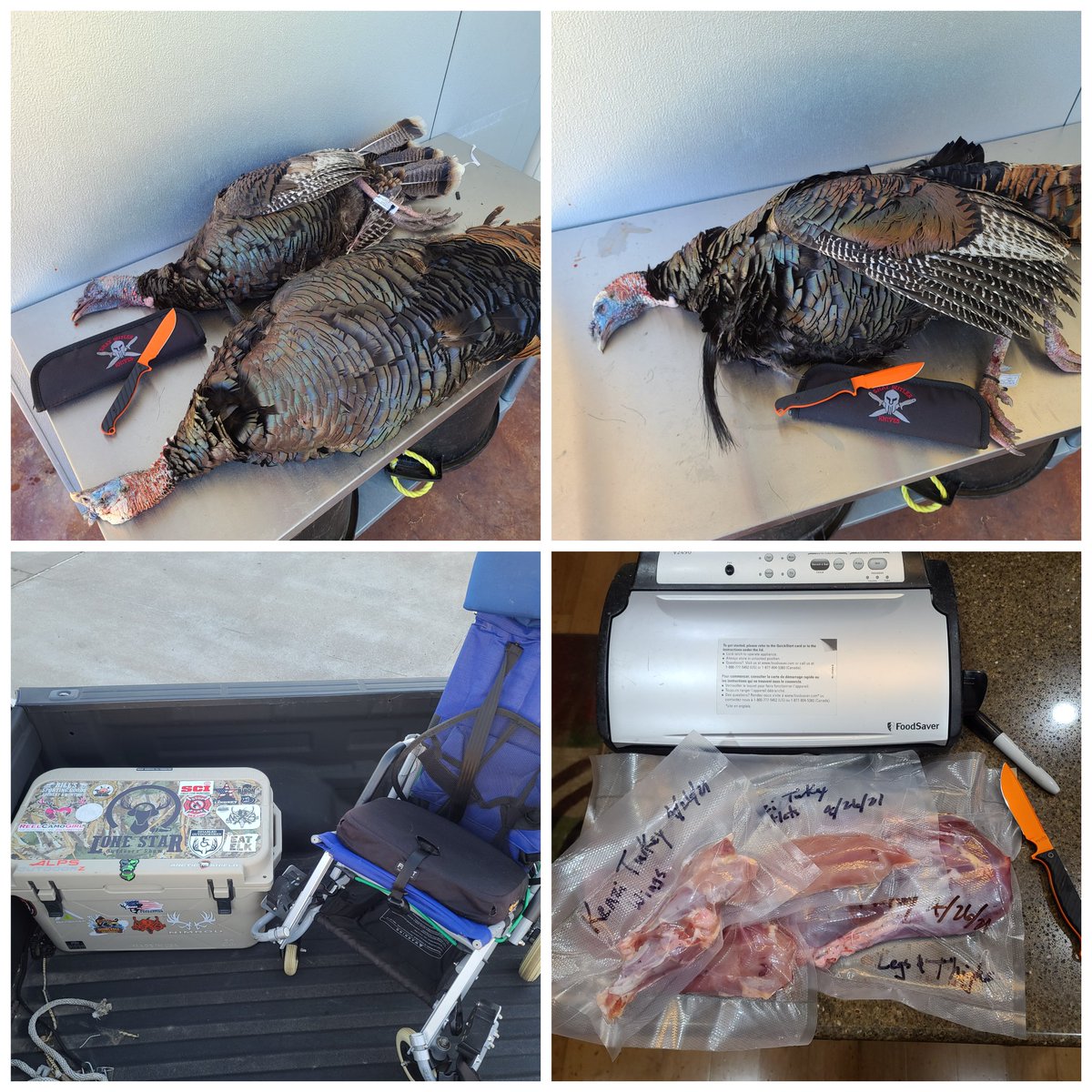 burnside4141's tweet photo. Kenzi's 2 Rios from TX last Sat. She uses vacuum air trigger to fire, a @tactacam to stream shotgun view to tablet for viewing. In blind - Kenzi on air trigger, me on safety &amp; vacuum control, Weston aiming. #turkeyseason #nwtf #cantstoptheflop #gobblegobble #hunting @OUTDChannel https://t.co/eCult9RScW