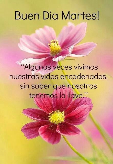 MUJER FM on Twitter: "#buendia #buenmartes #buenamusica #buenavida  https://t.co/nzjEYuNGXX" / Twitter