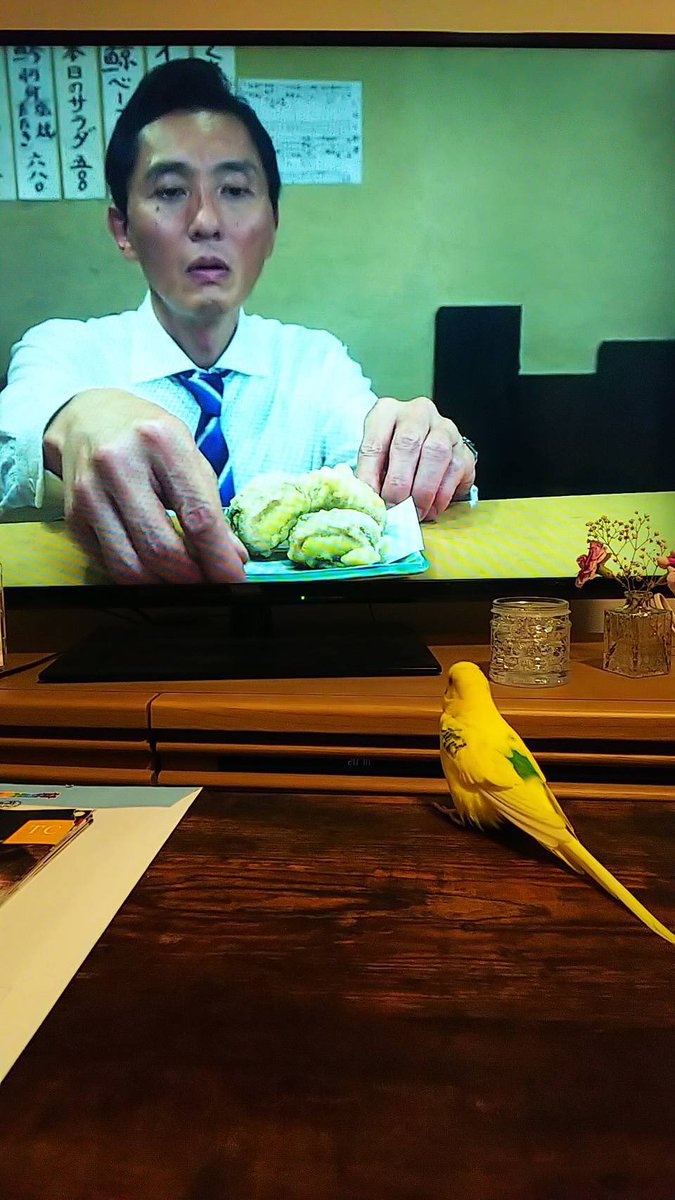 NatureofAikawa's tweet photo. トニーくんは五郎さんに興味津々。
何かを話しかけている模様。 https://t.co/hm4gqoC2nv