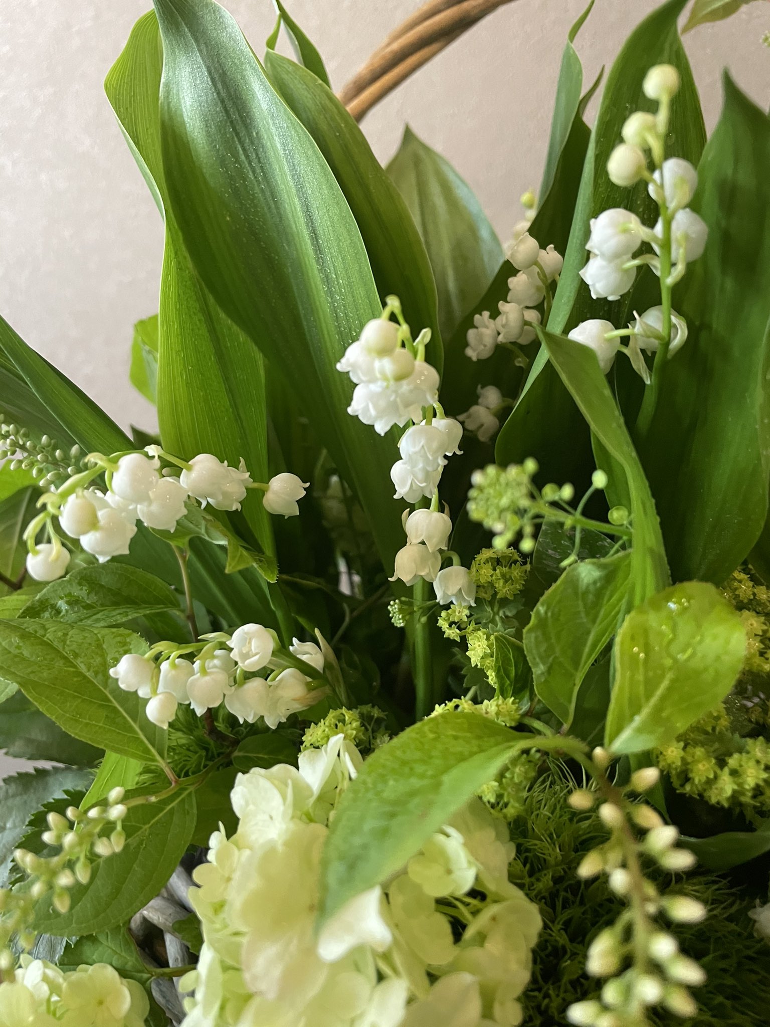 Kanon Flowerdesign 代々木 奥渋 スズラン の爽やかなアレンジメントです 5月１日は スズランの日です フランスでは 5月1日に愛する人やお世話になっている人にスズランを贈る習慣があり 貰った人と渡した人にも幸せが訪れると言われています