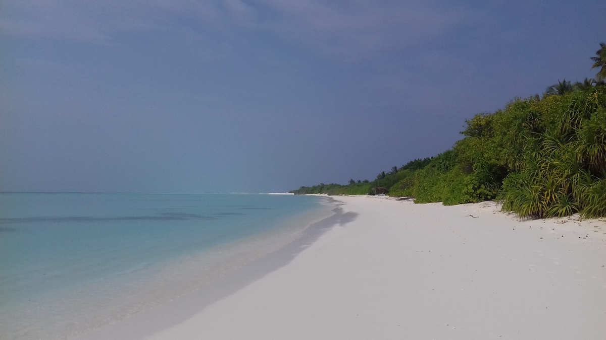 islandii_com's tweet photo. TOP Things to do in Fulhadhoo 2021
https://t.co/mlMc5KifJF
#Maldives https://t.co/PQlWI3WkTV