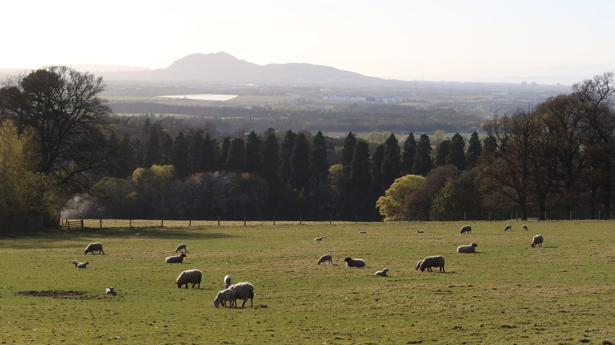 bikepackingscot's tweet image. We've made a few small updates to our most popular #bikepacking route, the Capital Trail. Thanks to @ELCrangers for helping with this, the new route has better views &amp;amp; less tarmac. If you ride the route, remember to act responsibly at all times, thank you! bikepackingscotland.com/capitaltrail/