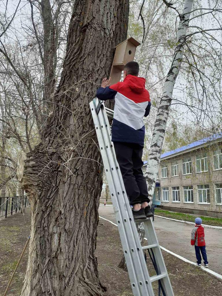 elena31101's tweet image. 19 апреля 2021г. в рамках Весенней Недели Добра - 2021 учащиеся ГБОУ СОШ пос. Октябрьский провели акцию Всемирный день Земли. Ребята вместе с родителями развесили скворечники  на территории своей школы.
#ВесенняяНеделяДобра