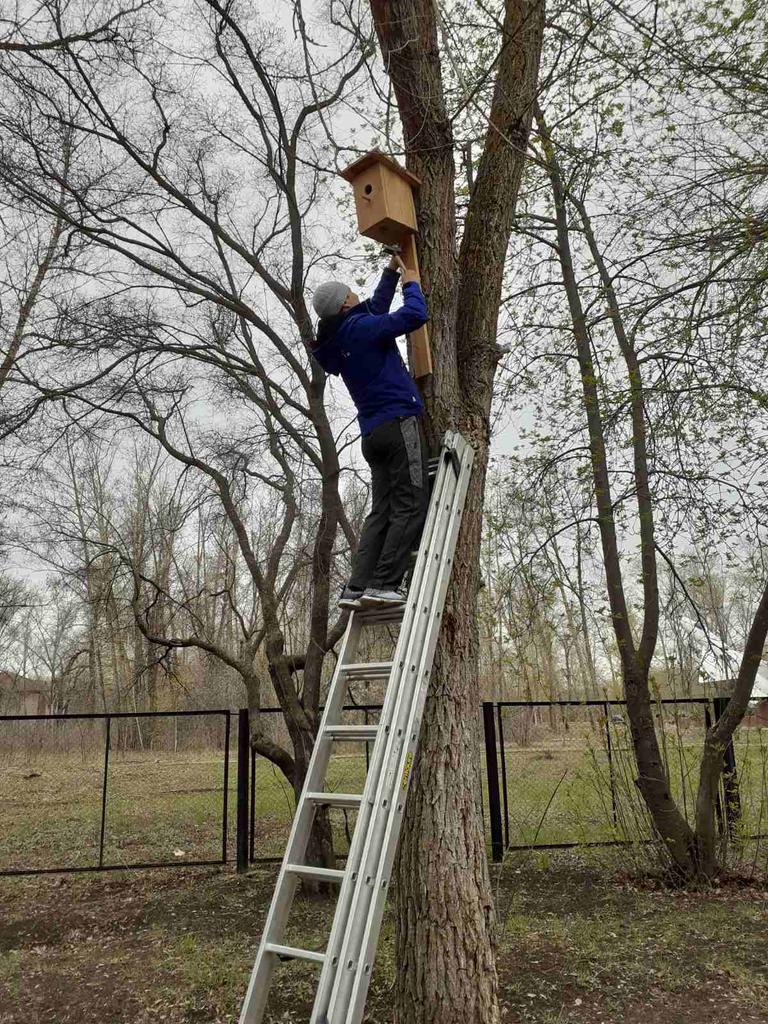 elena31101's tweet image. 19 апреля 2021г. в рамках Весенней Недели Добра - 2021 учащиеся ГБОУ СОШ пос. Октябрьский провели акцию Всемирный день Земли. Ребята вместе с родителями развесили скворечники  на территории своей школы.
#ВесенняяНеделяДобра