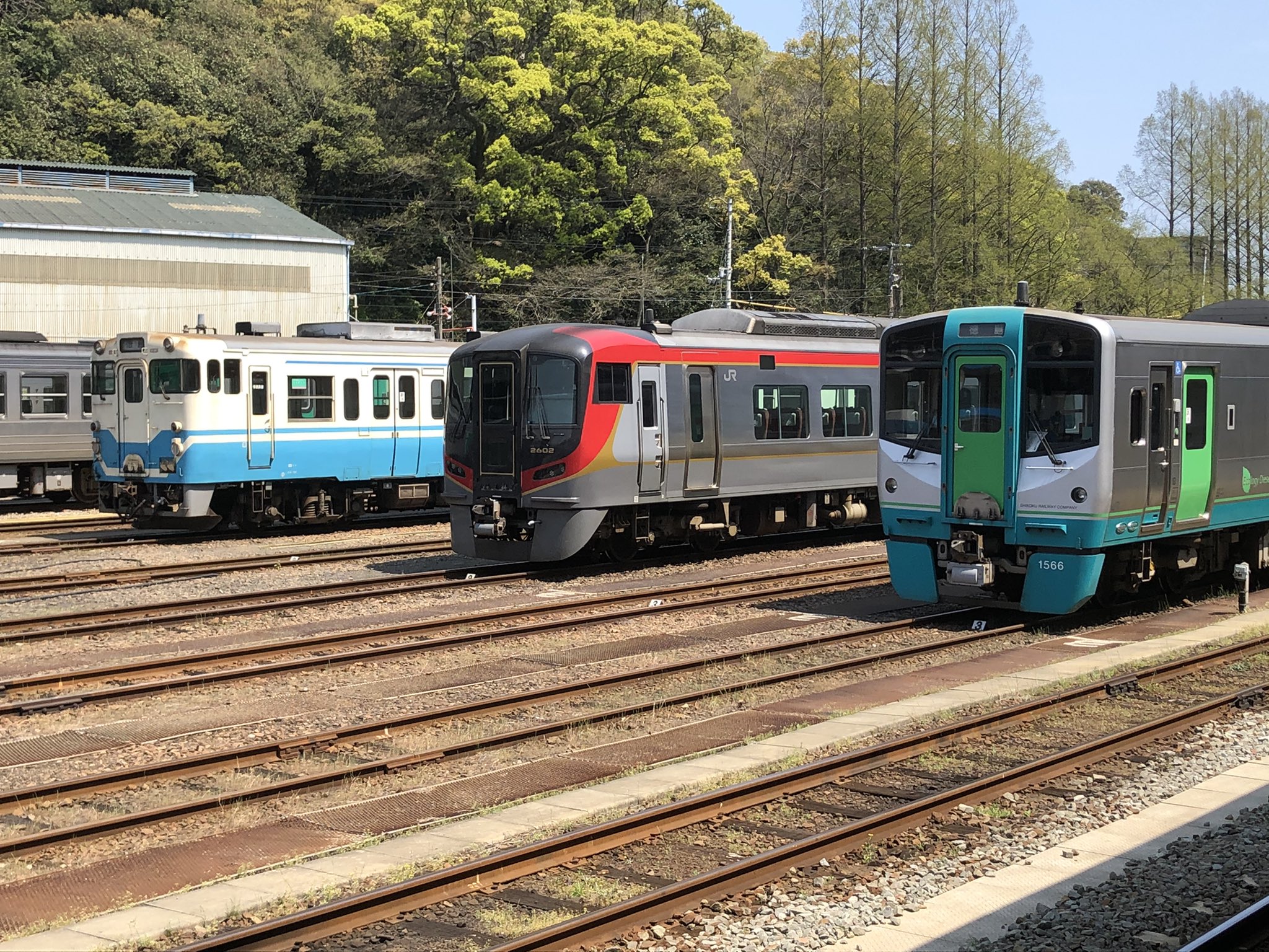ししゃもねこ 公式 徳島は 日本で唯一電車が走っていない県ですにゃ 汽車ですにゃ 汽車 蒸気機関車じゃないにゃ ディーゼル車 1両で走る汽車を見たら和みますにゃ T Co E5fdif4nkv Twitter