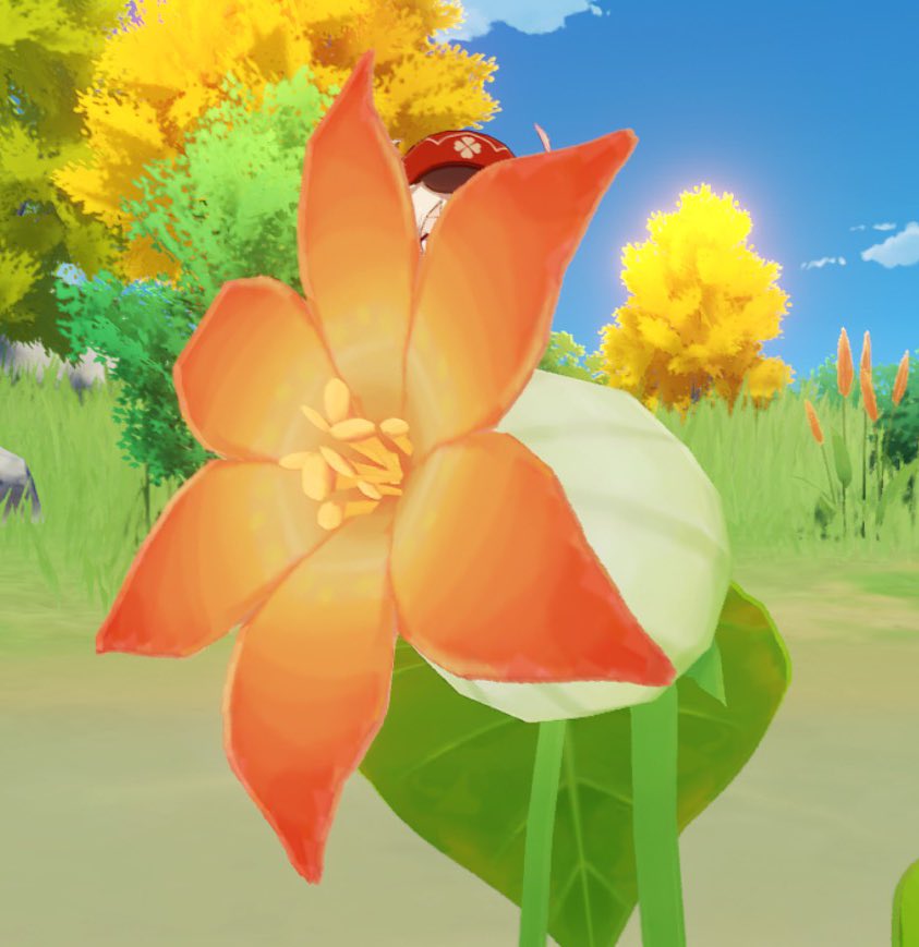 スローなのんちゃん Dachan2525 ドドリアン 臭いドリアンは知ってたけど 綺麗なお花ね Twitter