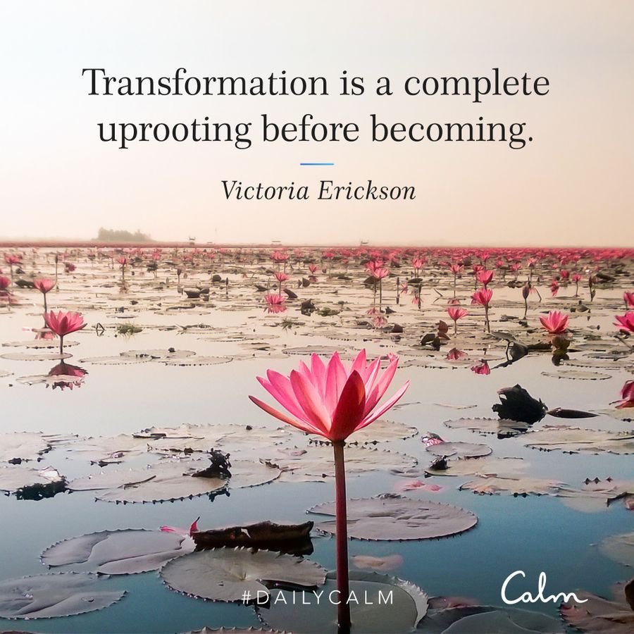 Jacob Damstra tweet media