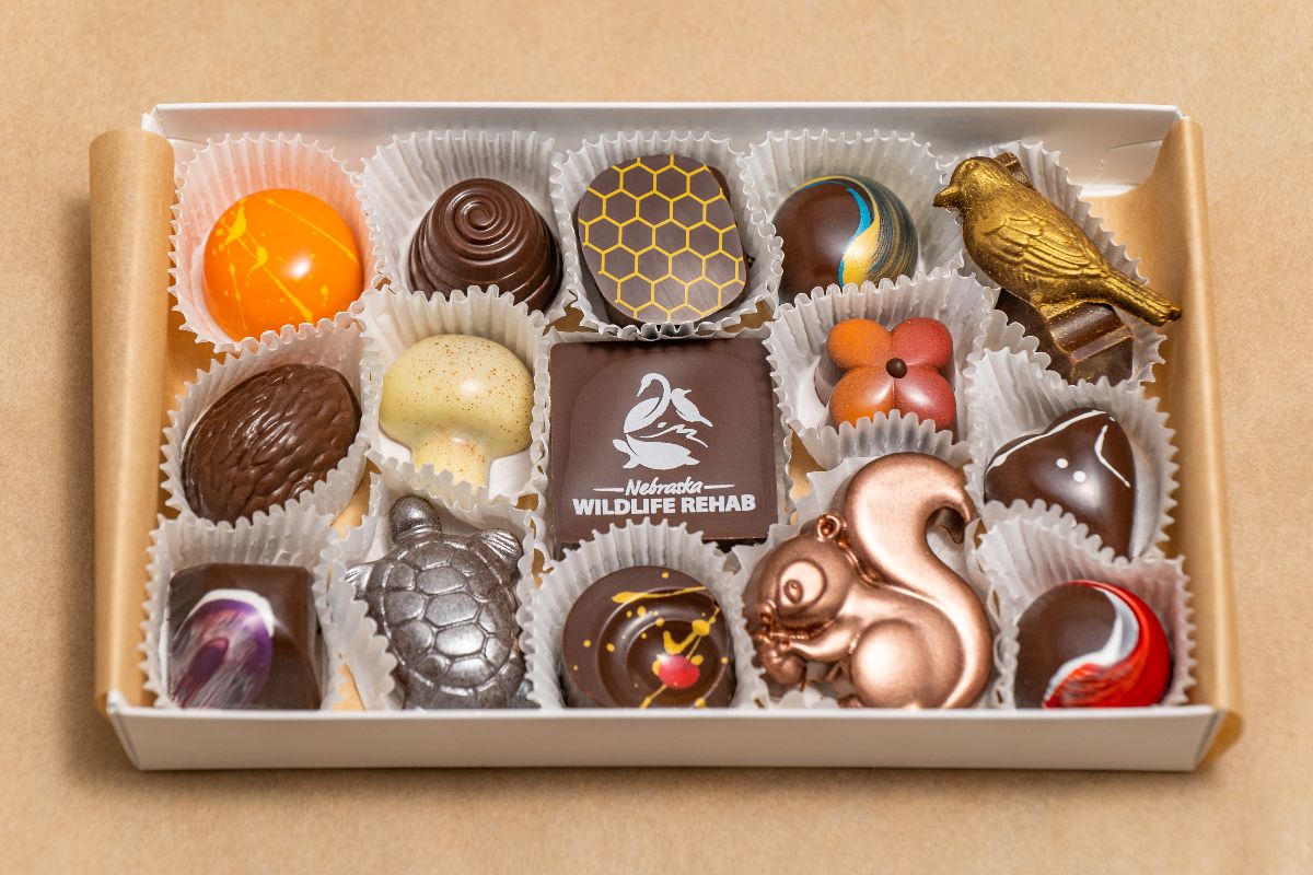 Chocolate for Wildlife - A SWEET Collaboration - mailchi.mp/nebraskawildli…