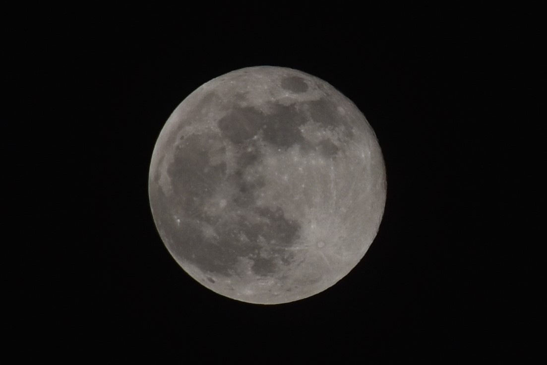 満月 4月 の感情分析 Nyakone