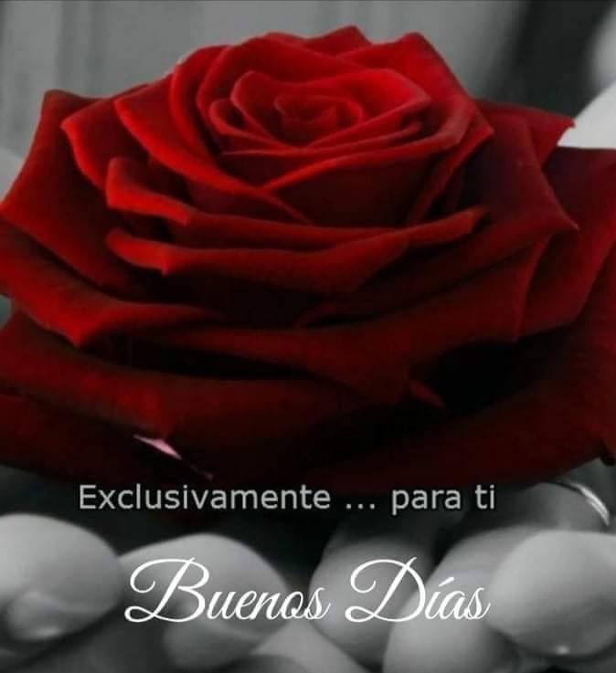 Feliz y bendecido Martes 🙏❤️👍