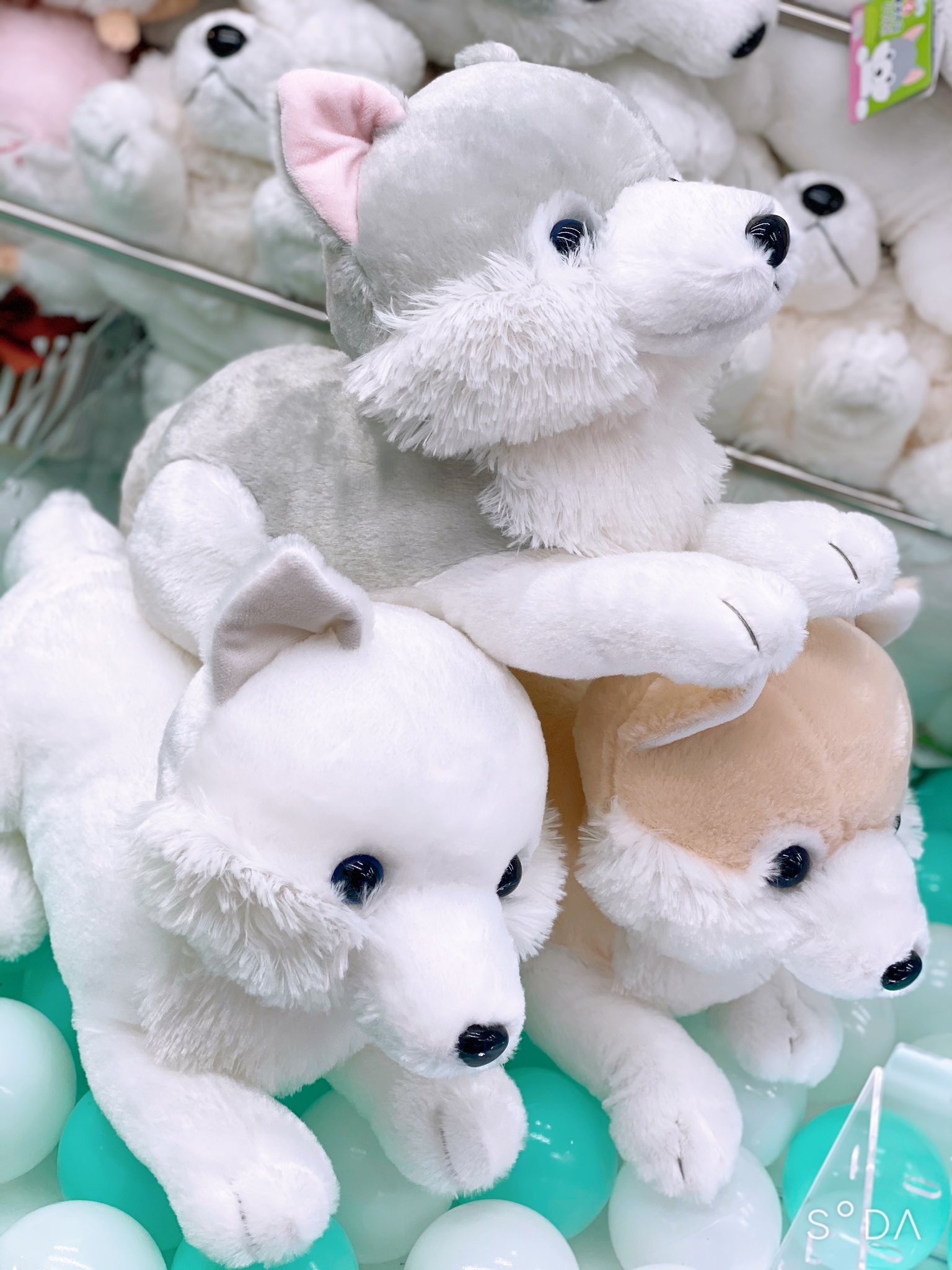 Gao歌舞伎町店 Amufun直営店 もふっとオオカミ最新作の大きなサイズも本日入荷 もふっとオオカミくつろぎ Jb リラックススタイルが可愛い もふっとオオカミのnewスタイルぬいぐるみです Gao歌舞伎町店 アミューズプライズ も