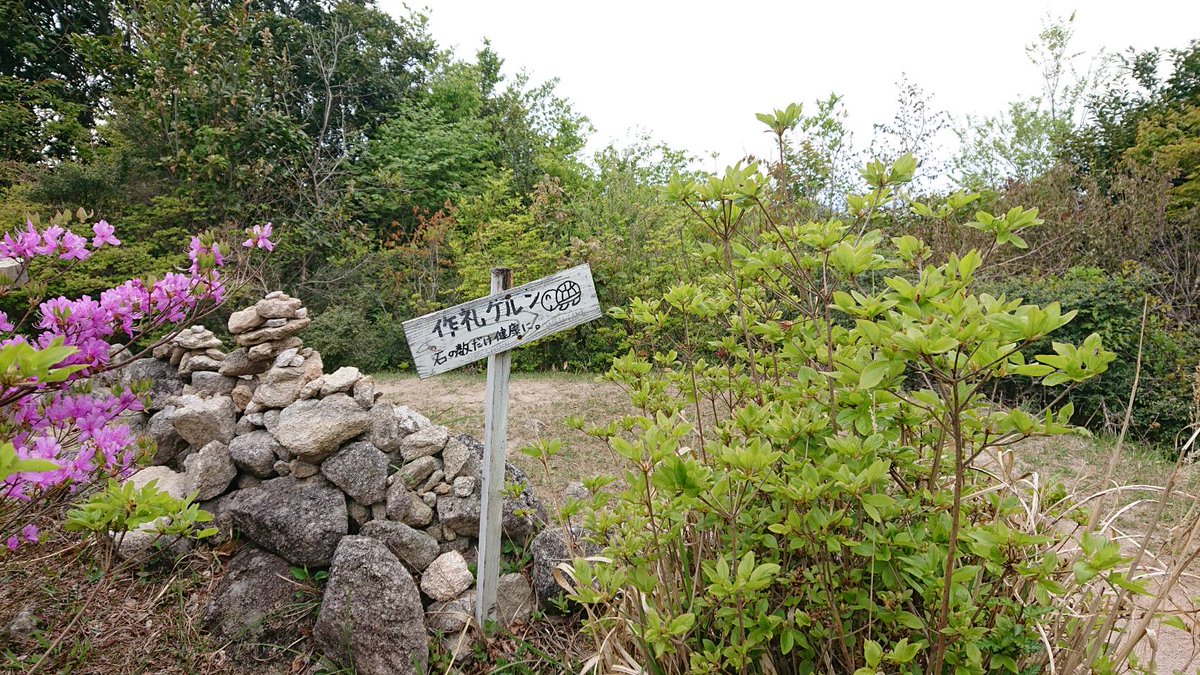 照美 環境芸術の森から作礼山 を散策 人生の並木路と言う杉林が 上から見たら一直線 その後道に迷いながら駐車場まで帰ってこれました 作礼山 人生の並木路