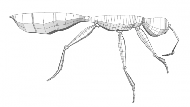 sketchUcation's tweet photo. By our user Builder54 of ALoft Carpentry & Finishing. #Organic modeling is possible in @sketchup using @evilsoftware tools, #SubD, #vertextools & #quadface. The carpenter #ant.
Carpenter ants are large ants indigenous to many forested parts of the world.
https://t.co/d0QHMlEV2W https://t.co/IKxQUvKXsi