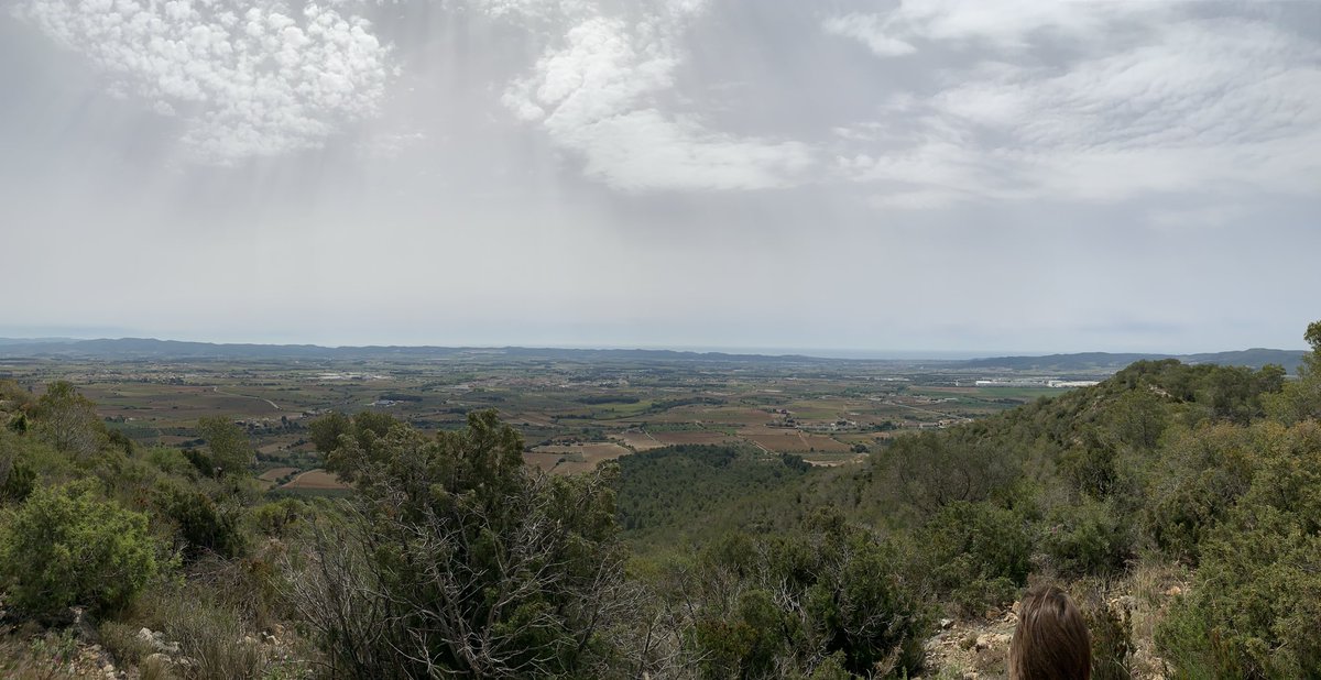 jaumecasanas's tweet photo. El #BaixPenedès als peus des del #PiSol, just darrera de @castell_de_gimenelles https://t.co/Zq0MDEEy5d