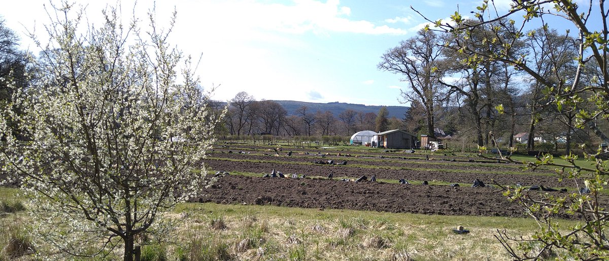 DunkeldField's tweet photo. Lots to do up at The Field https://t.co/LXXhLHr0qp