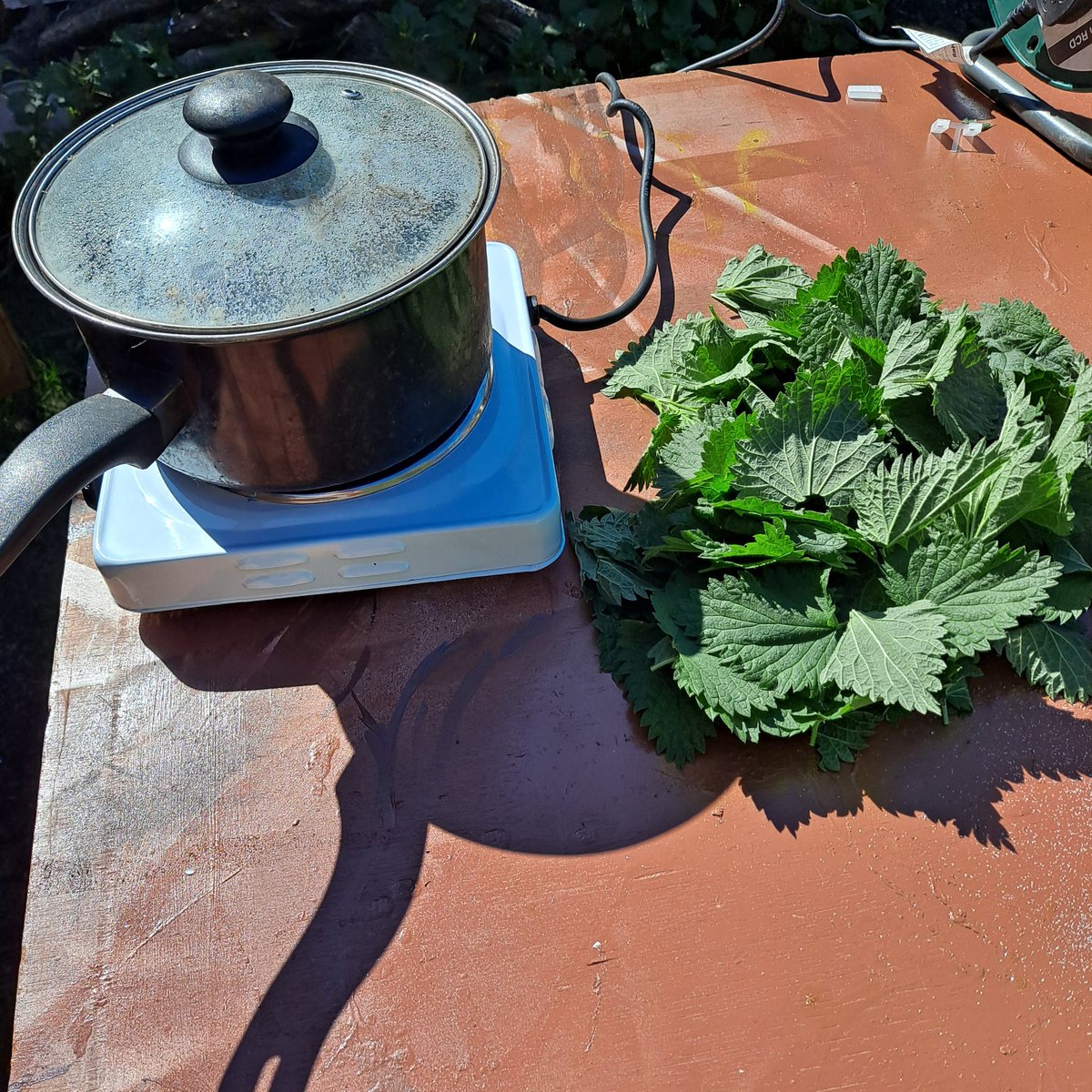 creativestates's tweet photo. Afternoon in the sun prepping the ever useful nettle in an alkaline solution for tomorrow's hand made paper session @ Regency school #thinkingdifferently project @meadowarts
#naturalart #artineducation #artsinschools #nettle #papercraft #handmadepaper #naturalartist https://t.co/rvlCmcvRFy
