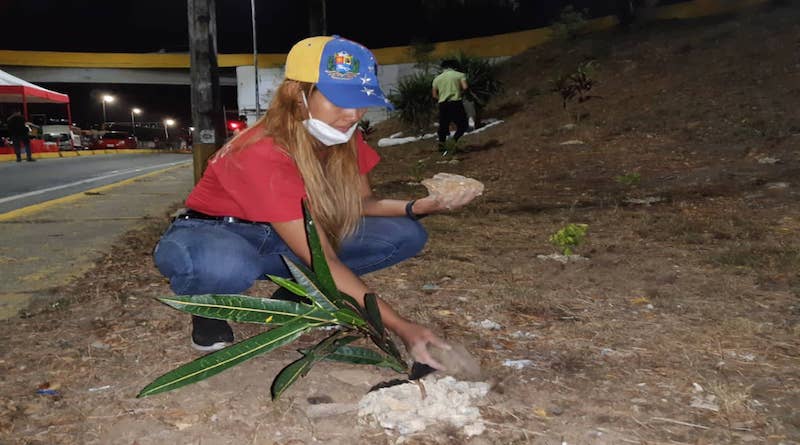 Plan Caracas Patriota Bella y Segura | Con siembra y ornato la Gran Misión Transporte Venezuela llena de hermosura el elevado de La Bandera

#CuidémonosDeLaCovid  

vtv.gob.ve/plan-caracas-p…