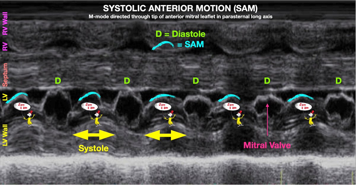 Matthew Tyler tweet media