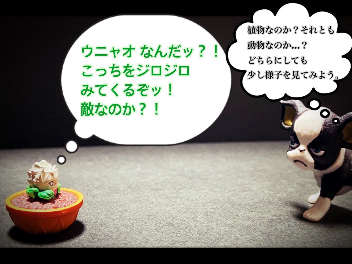 Twoucan イギー の注目ツイート イラスト マンガ コスプレ モデル