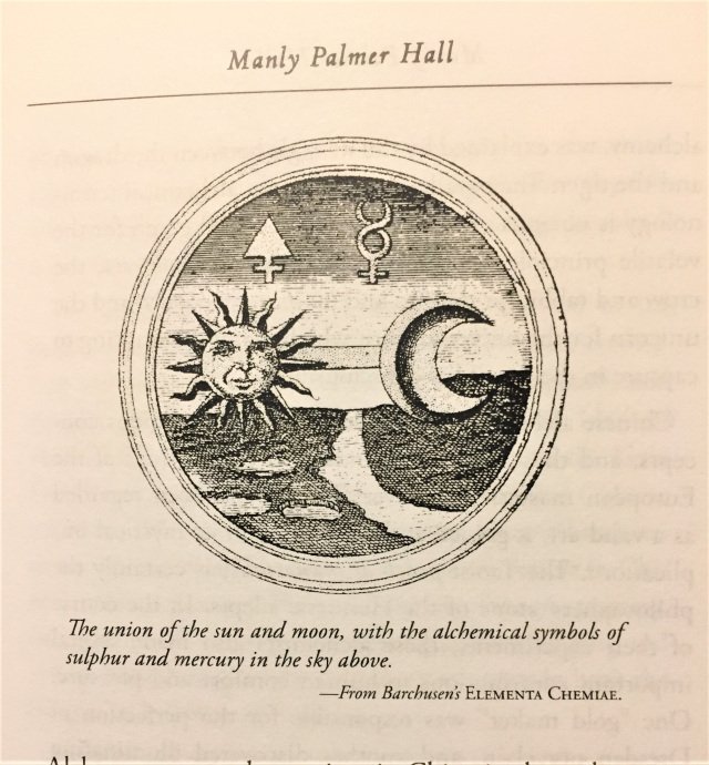 This is the emblem from the book Elementa Chemiae. It depicts the alchemical wedding of the sun and moon; of sulfur and quicksilver (mercury). The moon is dissolved to solidify the sun until pure; until we reach our true androgynous nature.