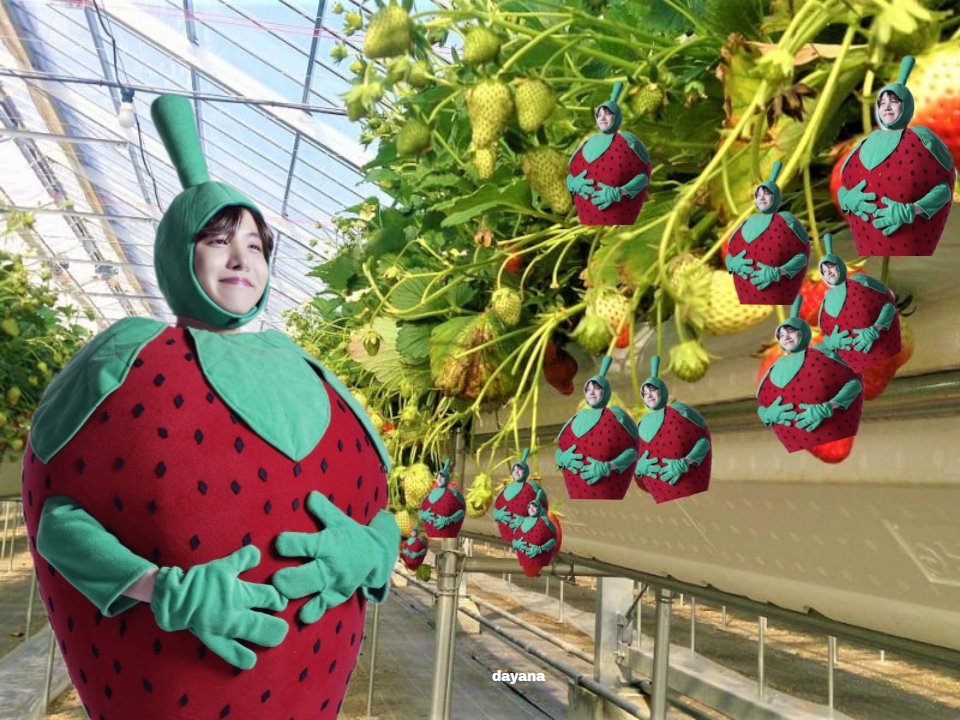 makeitdayn's tweet image. hobierry farm😂🍓🍓