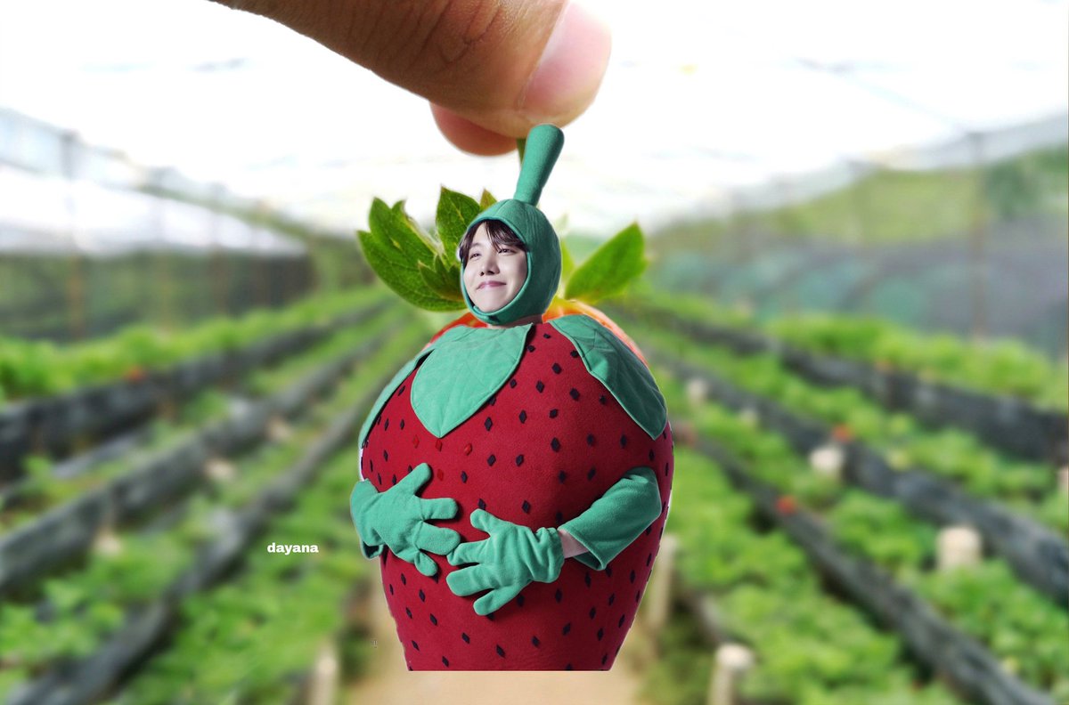 makeitdayn's tweet image. hobierry farm😂🍓🍓