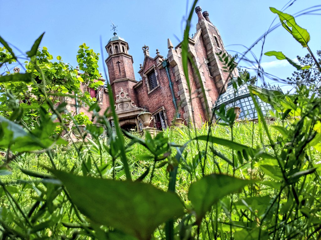 ディズニー大好き 新エリア好き V Twitter 昼と夜とで全く違う不気味さを醸し出すホーンテッド マンション ディズニー Tdr Now