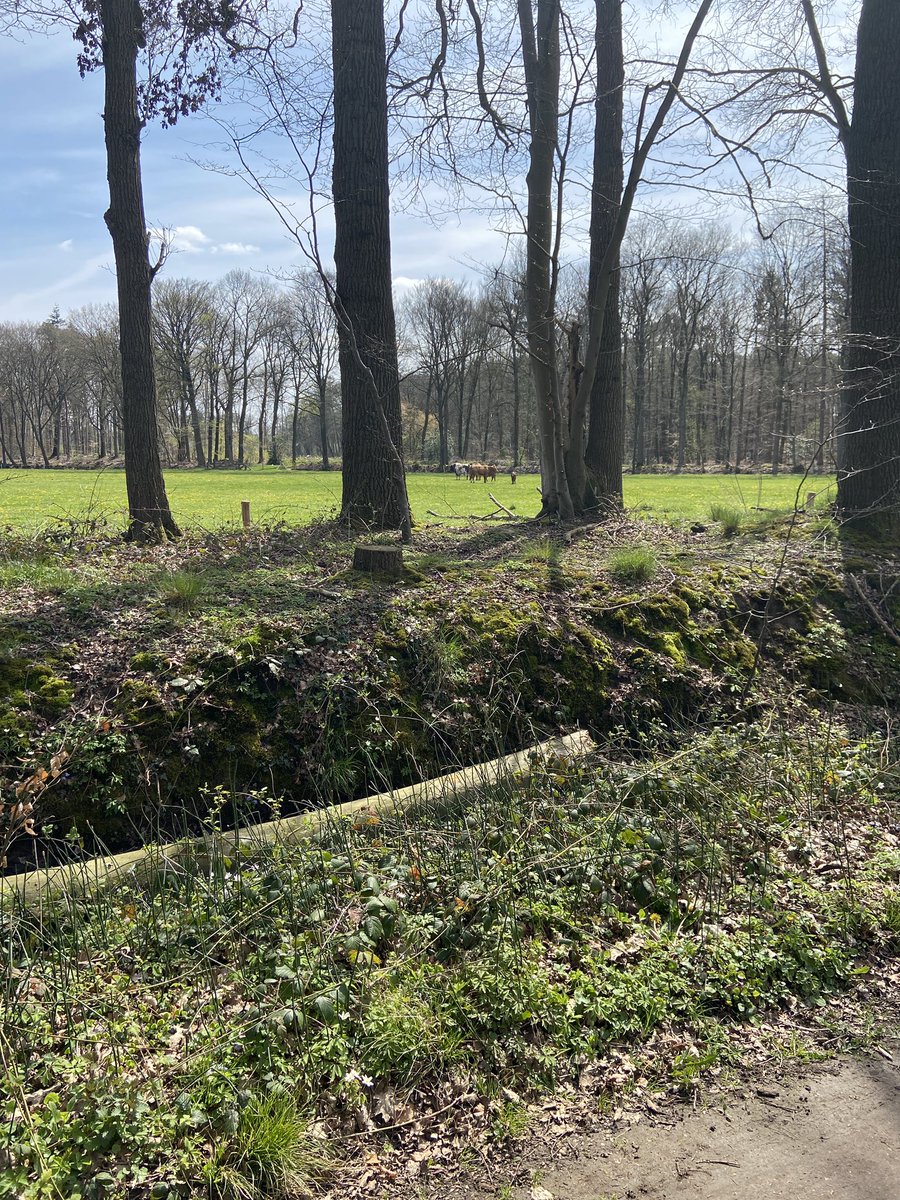 Jan Engels tweet media