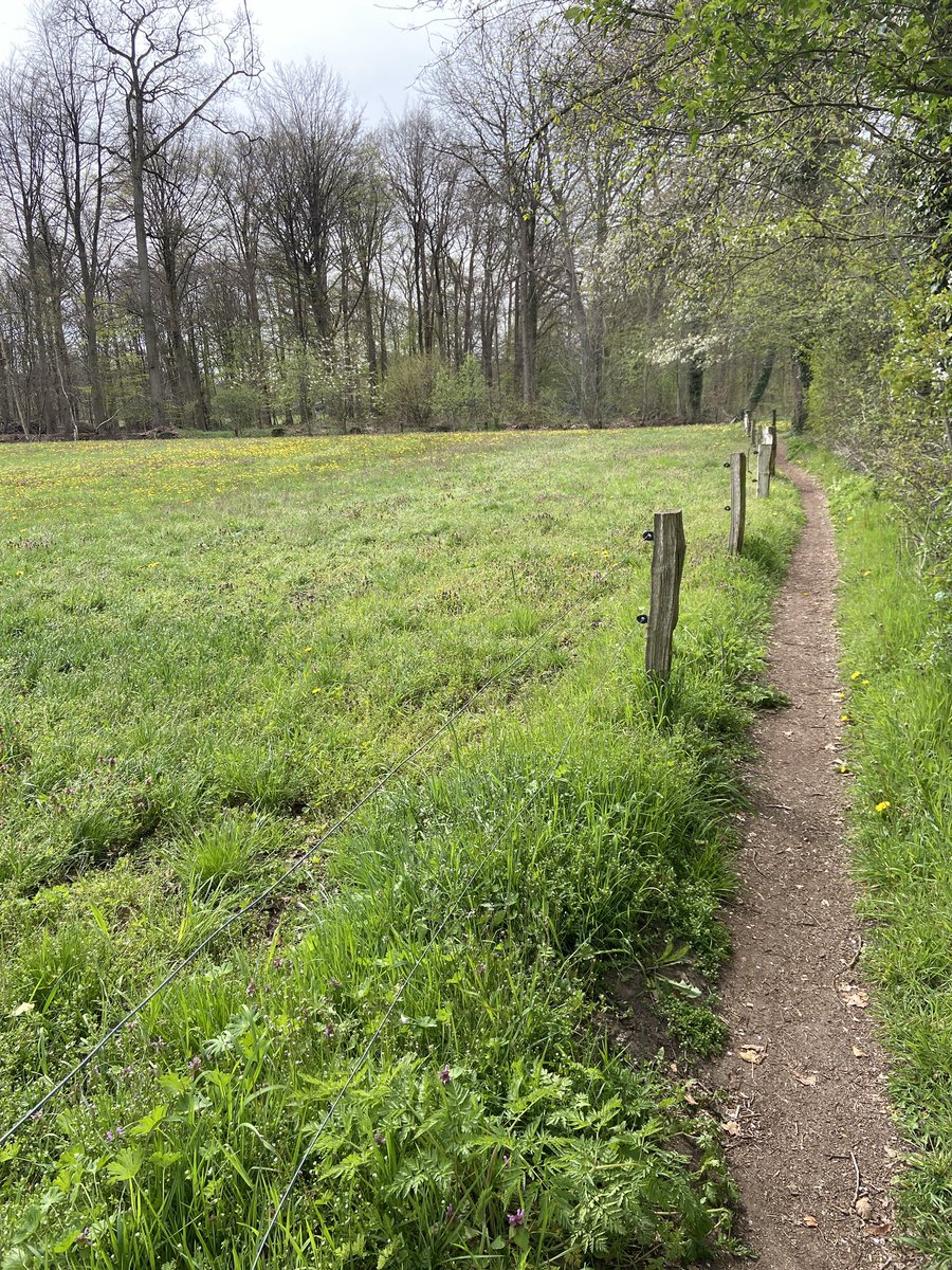 Jan Engels tweet media