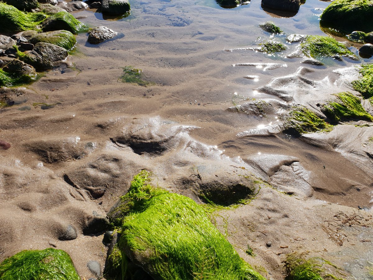 clephelapod's tweet photo. took at small trip to the seaside yesterday #welshcoast #northwales https://t.co/FXEeKg2C90
