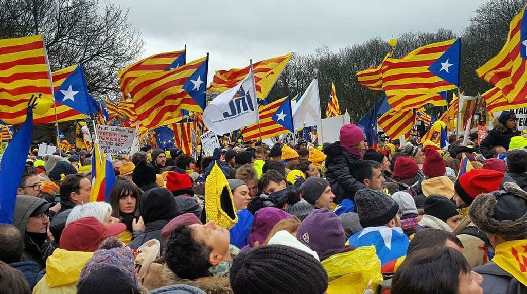 JNCatalunya's tweet photo. 🎂Avui la JNC compleix 41 anys de compromís amb Catalunya i la seva llibertat. 

👉🏻41 anys mantenint viu l'esperit que es va iniciar el 25 d'abril de 1980: lluitar per la independència de Catalunya i pel progrés i benestar de la seva gent. 

Visca Catalunya lliure!💛 https://t.co/IEAv4WZV4m