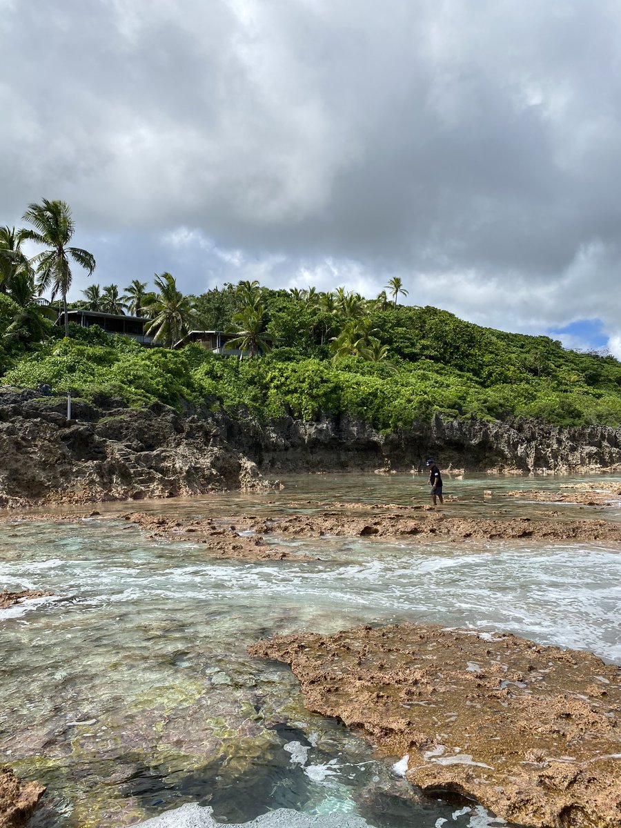 MIQ DAY 5Frolics on the reef. Our MIQ facility is the Matavai Apartments at Homofiti in Tamakautoga, located on the west coast. It sits on a clifftop with easy access to the reef and sea which we’re free to enjoy at one’s own leisure. Bechdemer in abundance