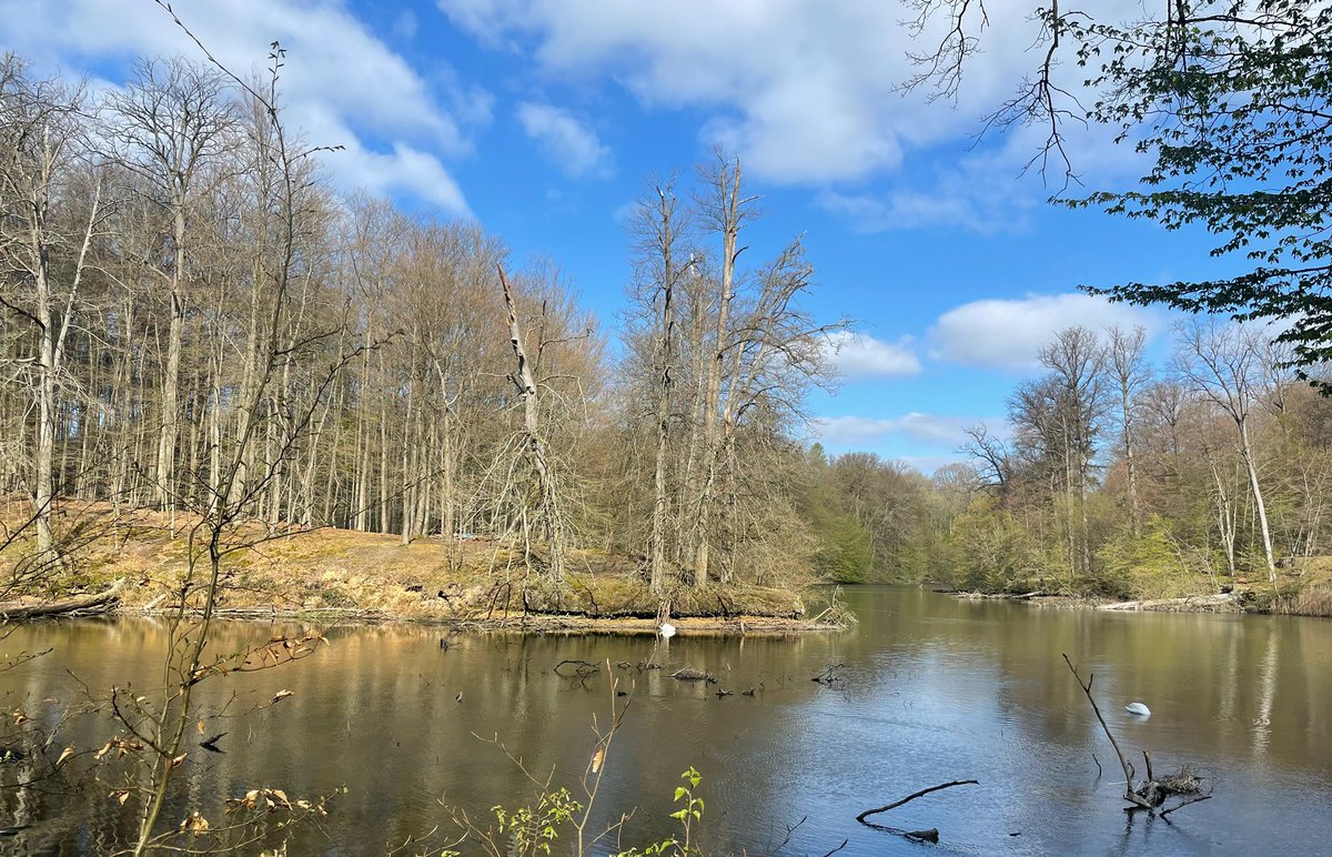 _beInteractive's tweet image. Groenendaal 11:00 #vrtweer